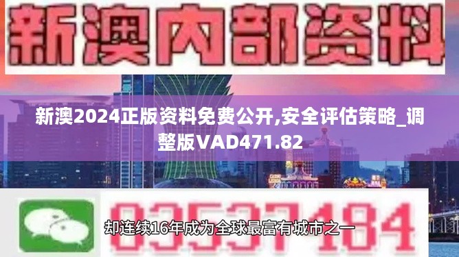 新澳2024年最新版资料,诠释解析落实_微型版31.579