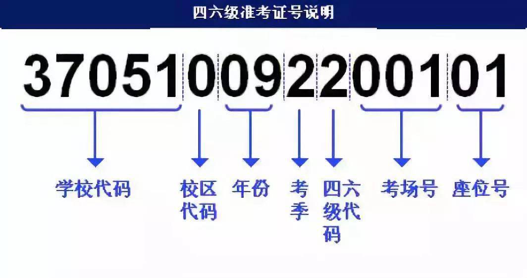 澳门正版资料大全免费噢采资,可靠执行计划策略_Max32.169