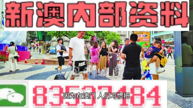 2024新澳精准资料免费提供,澳门内部,功能性操作方案制定_Android256.183