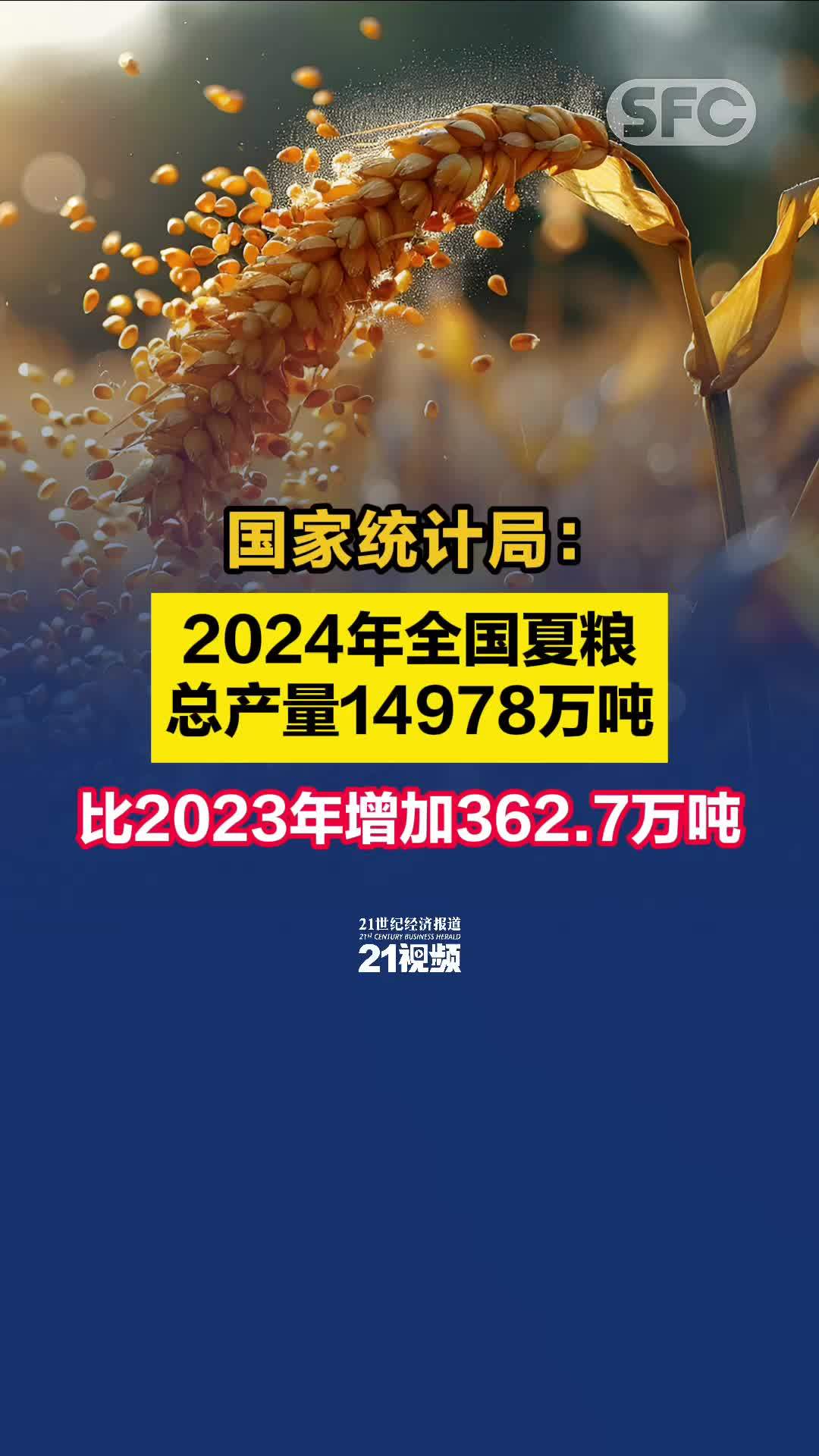 2024澳门濠江论坛,最新正品解答落实_入门版2.362