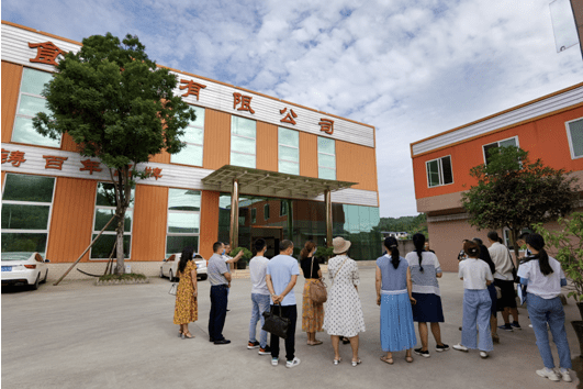 衡阳市农校农场最新交通动态报道