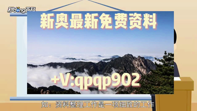 2024新奥正版资料免费,全面设计实施策略_经典版98.359